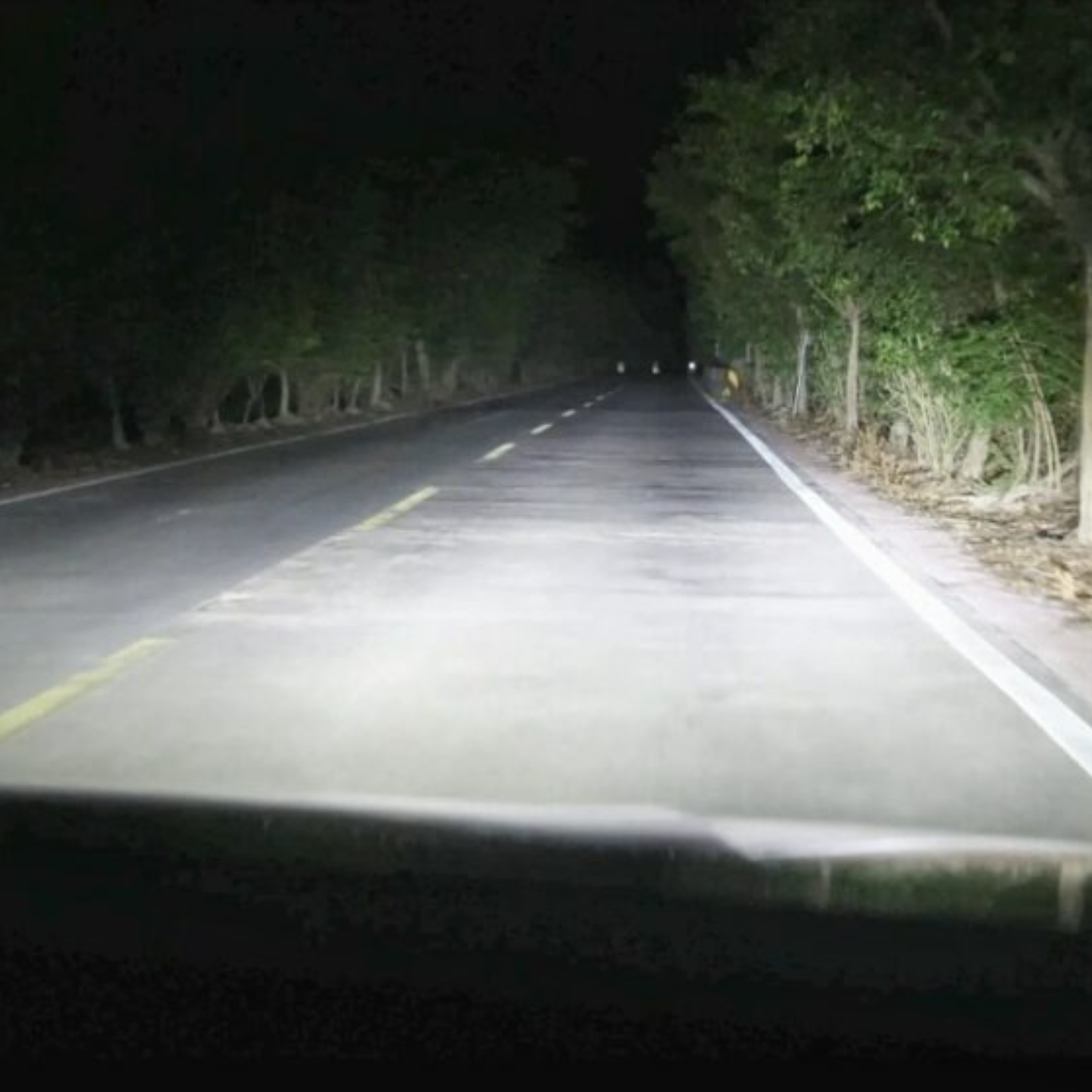 Foco LED Automotriz Carlumex H16 – Alto Desempeño y Máxima Iluminación